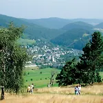Belvita 3 Mit Hallenbad & Sauna 빌링겐