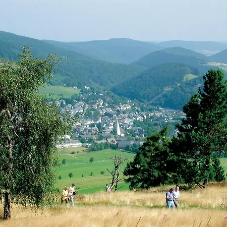 Belvita 3 Mit Hallenbad & Sauna - In Ruhiger Zentrumsrandlage Willingen