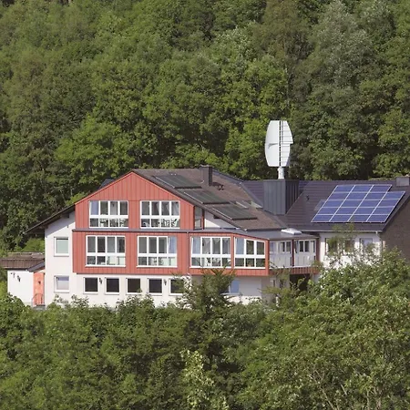 Belvita 3 Mit Hallenbad & Sauna Willingen